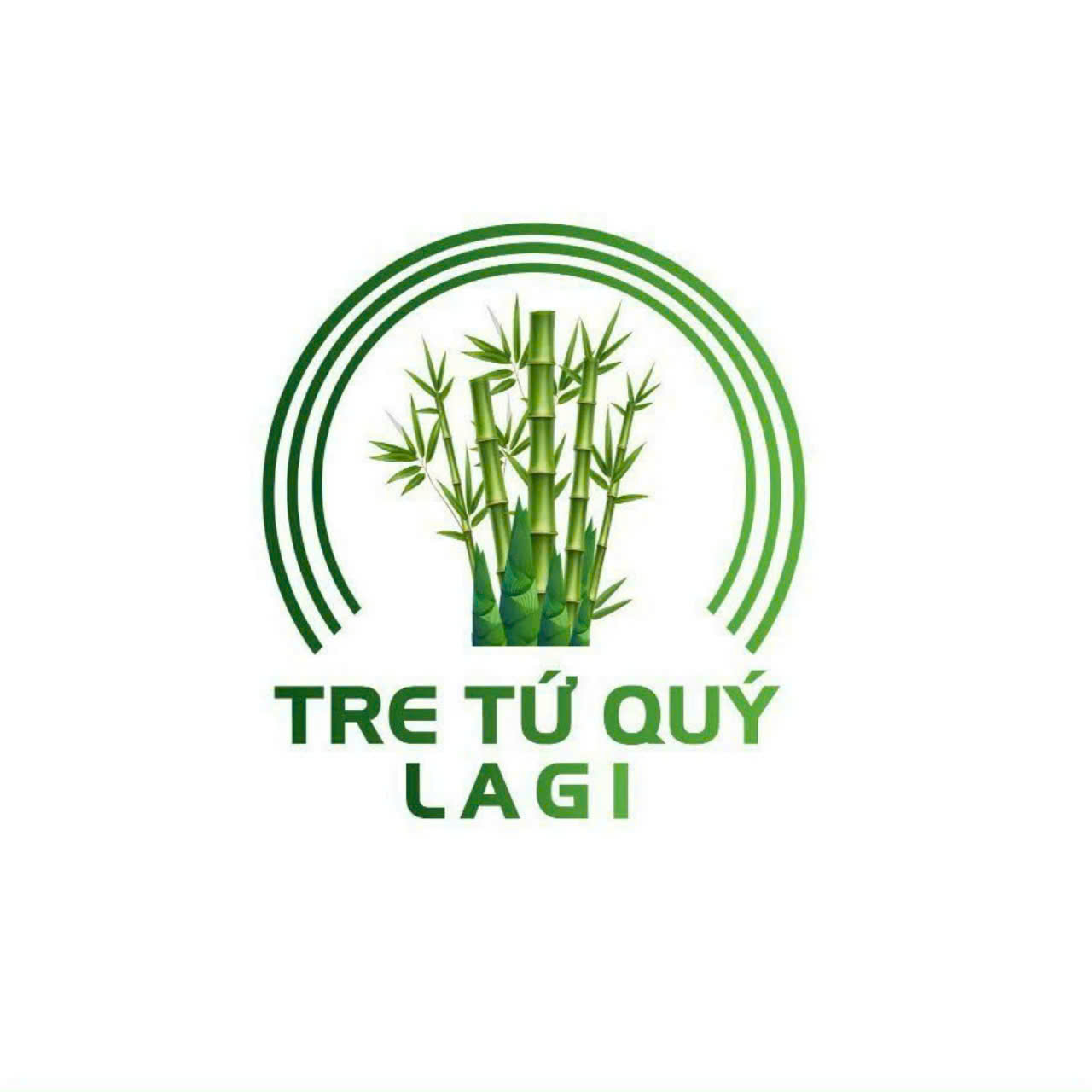 Măng tre Tứ Quý